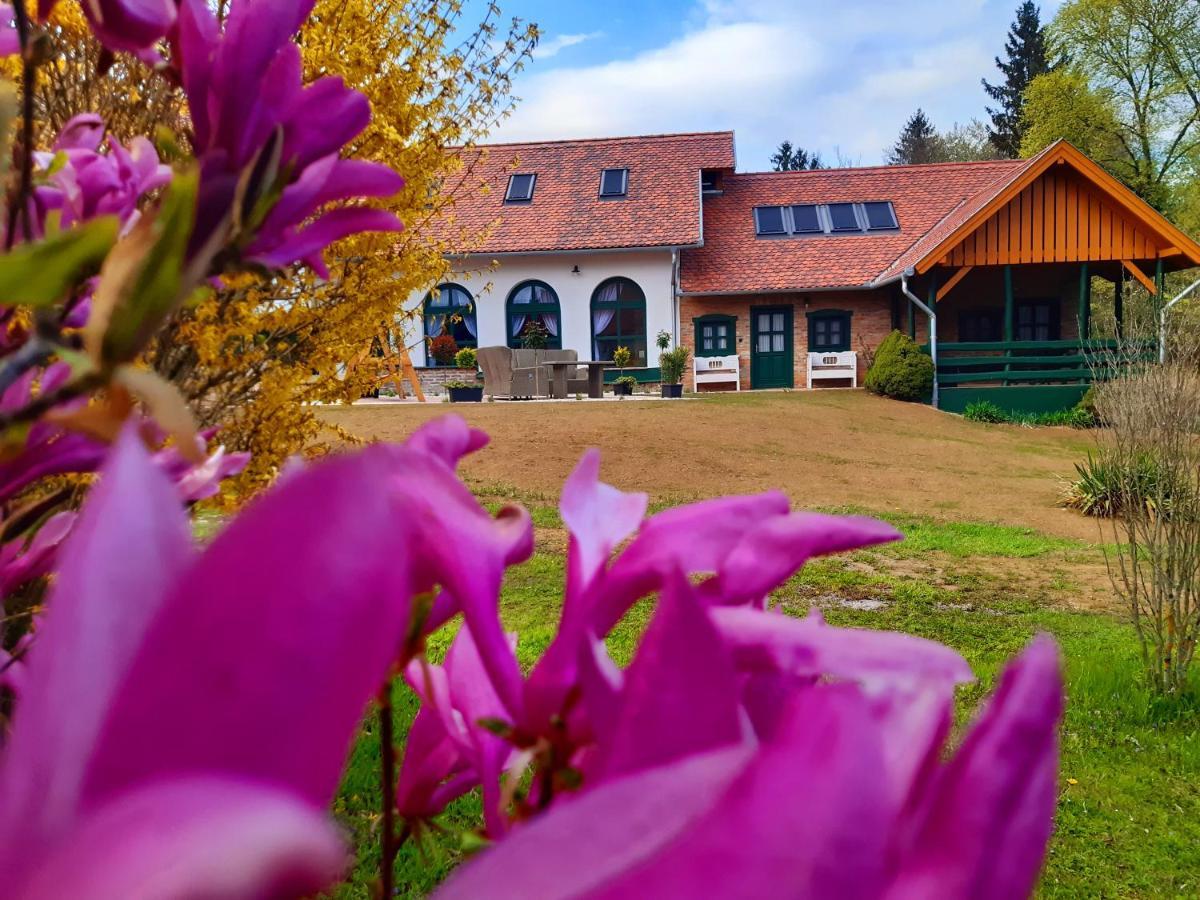 Hotel Fény-Szer Vendégház Őrség Szentgotthárd Esterno foto